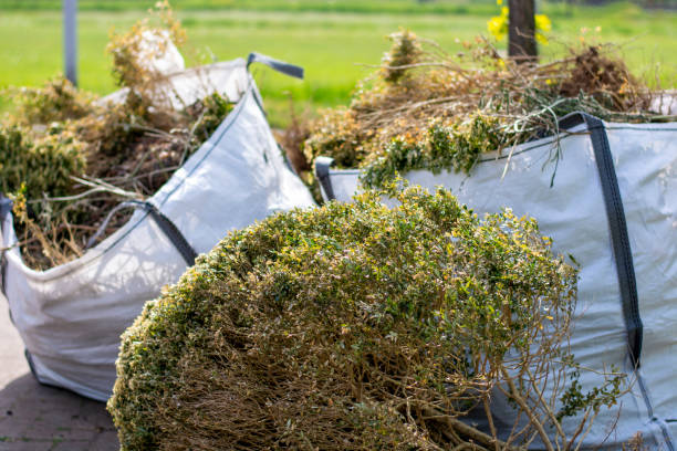 Best Dumpster Rental Services  in Yuma, AZ
